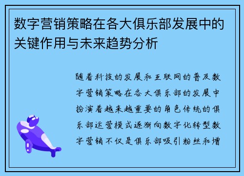 数字营销策略在各大俱乐部发展中的关键作用与未来趋势分析 数字营销策略在各大俱乐部发展中的关键作用与未来趋势分析
