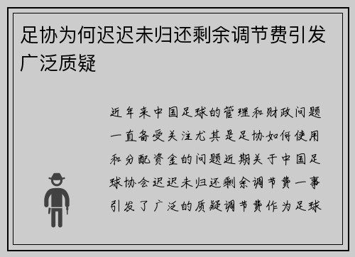 足协为何迟迟未归还剩余调节费引发广泛质疑 足协为何迟迟未归还剩余调节费引发广泛质疑
